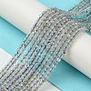 Natural Labradorite Beads Strands G-Z034-B04-01-2