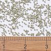 MIYUKI Delica Beads SEED-MY11-DB1181-4