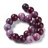 Dyed Natural Malaysia Jade Beads Strands G-G021-01C-08-3
