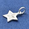 Sterling Silver Charms STER-E070-03H-2