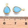 K9 Glass Charms GLAA-T023-10D-3