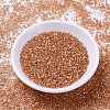 MIYUKI Delica Beads SEED-MY11-DB1864-2