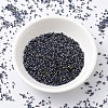 MIYUKI Delica Beads X-SEED-J020-DB2206-2