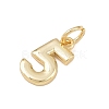 Brass Charms KK-G544-10G-05-2