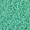 MIYUKI Round Rocailles Beads SEED-X0054-RR0219-3