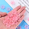 Transparent Acrylic Beads MACR-S373-107-D05-6