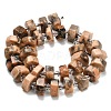 Natural Feldspar Beads Strands G-L642-H04-01-3