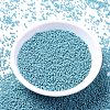 MIYUKI Delica Beads LS-X-SEED-J020-DB0375-2