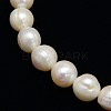 Natural Cultured Freshwater Pearl Beads Strands PEAR-L001-B-07-01-2