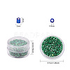 BENECREAT MGB Matsuno Glass Beads SEED-BC0001-04-3