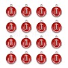 Platinum Plated Alloy Enamel Charms ENAM-S118-03I-P-2