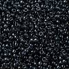 MIYUKI Round Rocailles Beads X-SEED-G008-RR0178-3