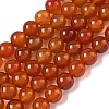 Round Natural Red Agate Bead Strands G-M257-10mm-26-2