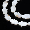 Natural Freshwater Shell Beads Strands SHEL-S278-02-A01-3