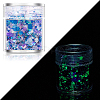 Luminous Nail Art Glitter Powder LUMI-PW0004-034I-1
