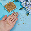 50G Glass Seed Beads SEED-PA0001-36A-02-3