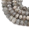 Natural Labradorite Beads Strands G-C259-A41-5x8mm-4