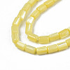 Natural Trochid Shell/Trochus Shell Beads Strands SHEL-N003-26-B10-3
