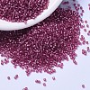 MIYUKI Delica Beads X-SEED-J020-DB1341-1