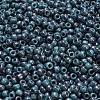 TOHO 6/0 Round Beads SEED-XTR06-1206-4