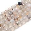 Dyed & Heated Natural Agate Beads Strands G-P539-D01-04-1