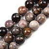Natural Petrified Wood Beads Strands G-L648-A03-16mm-02-3