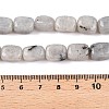 Natural Labradorite Beads Strands G-T138-85-5