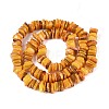 Natural Freshwater Shell Beads Strands SHEL-N037-01A-2