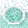 Drawbench Style Glass Seed Beads SEED-N008-10H-2