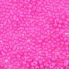 Baking Paint Glass Seed Beads SEED-L011-09A-13-3