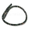 Natural Indian Agate Beads Strands G-G175-N06-01-3