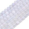 Natural Blue Chalcedony Beads Strands G-K310-C12-10mm-2