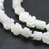 Natural White Shell Beads Strands SSHEL-P015-01A-8mm-3