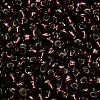 TOHO 6/0 Round Beads SEED-XTR06-0026C-4