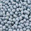 Baking Painted Glass Seed Beads SEED-C004-04H-3