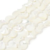 Natural White Shell Beads Strands SSHEL-10X12-1