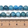 Natural Apatite Bead Strands G-P204-09-7mm-1-4