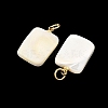 Natural Trochid Shell/Trochus Shell Pendans PALLOY-JF05925-2
