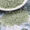 MIYUKI Delica Beads SEED-X0054-DB1765-1