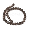 Natural Ice Obsidian Beads Strands G-P590-A01-10mm-01-5