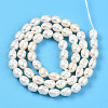 Natural Cultured Freshwater Pearl Beads Strands PEAR-N012-05Y-3