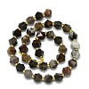Natural Petrified Wood Beads Strands G-I376-A30-01-2