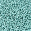 MIYUKI Delica Beads SEED-MY11-DB1576-3