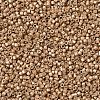 MIYUKI Delica Beads X-SEED-J020-DB1155-3