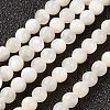 Natural White Shell Beads Strands X-G-G680-54-1