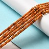 Natural Dolomite Beads Strands G-K350-A01-01E-2
