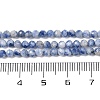 Natural Blue Spot Jasper Beads Strands G-A252-A02-02-5
