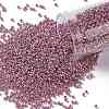 TOHO Round Seed Beads SEED-XTR08-PF0553-1