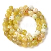 Dyed & Heated Natural Fire Crackle Agate Beads Strands G-P539-B01-06-3