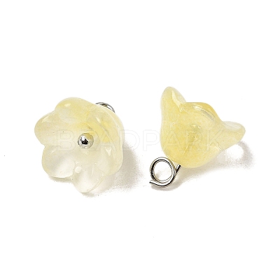 Glass Charms GLAA-G127-03B-1
